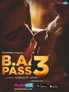 B A Pass 3 (2021) Hindi HD