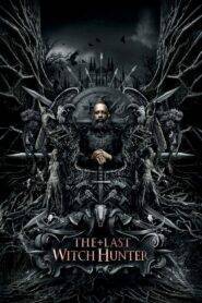 The Last Witch Hunter (2015) Hindi Dubbed