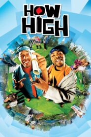 How High (2001) Hindi Dubbed