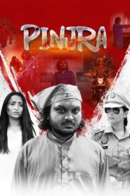 Pinjra (2025) Punjabi HD