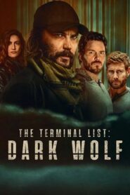 The Terminal List: Dark Wolf (2025) Hindi Season 1 Complete