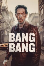 Bang Bang (2025) Hindi Dubbed WEBRip